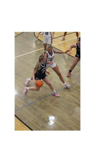 Matelyn Allison tries to drive past Gilmer's Jace Sanderson during the first round game Tuesday night in Ellijay. MARK TURNER/WCN