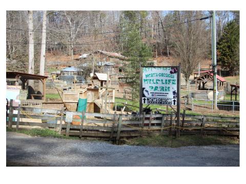 North Georgia Wildlife & Safari Park has been nominated for a national award. The park is located at 2912 Paradise Valley Road in Cleveland. CARLY HENDERSON/WCN