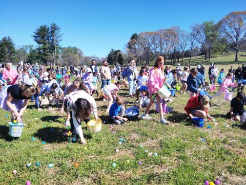 Scores of kids hunted for Easter eggs at Skitts Mountain Farms in Cleveland on March 28. DENISE ETHERIDGE/WCN