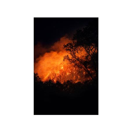 A fire spread across 26 acres of forest land on Buzzard Mountain Sunday night. SUBMITTED PHOTO