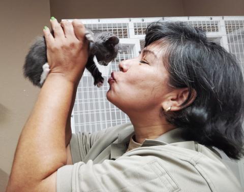 Animal Control Operations & Training Coordinator Astrid DeWeever shows a tiny kitten some love. PHOTOS BY DENISE ETHERIDGE/WCN