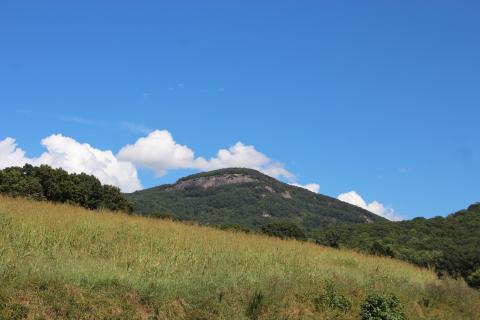 Human remains were found on Mt. Yonah earlier this month. PHOTO BY CARLY HENDERSON/WCN
