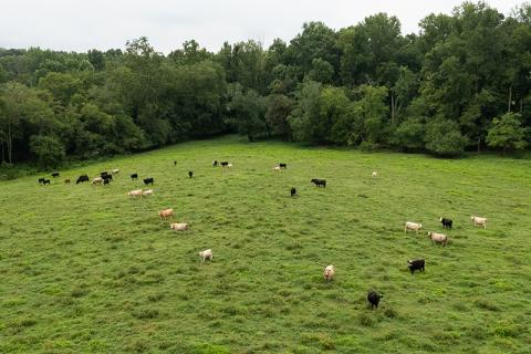 Farmland that lies along New Liberty Road in Clarkesville. ZACH TAYLOR/Staff