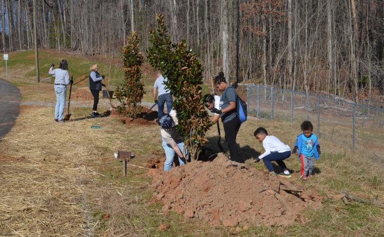 In front from left, Sam Litz, Ivy Scott, Jaquilla Scott, Jonah Scott and J.J. Scott team up to arrange a magnolia tree. In the background, Cindi Sisk and Josh Irvin shovel dirt onto a root bed. (Photo/Wayne Hardy)