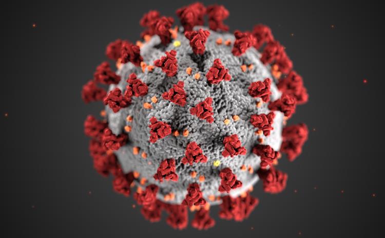 White County continues to see new confirmed cases of COVID-19, with the county reaching 190 cases in a preliminary report by the Georgia Department of Public Health on Wednesday, July 15.