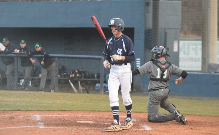 Senior Rylee Higgins had two hits in the win over East Hall, including an RBI single to tie the game at 3-3 in the fifth inning.