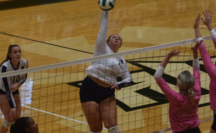 WCHS senior Camryn Dorsey was named to the All-Area team. (Photo/Mark Turner)