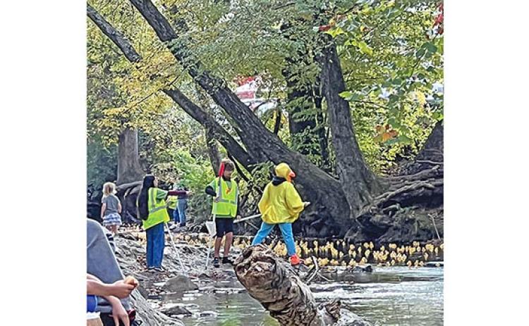 Volunteers watch over the ducks in last year’s Great Helen Duck Race. (file photo)