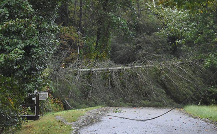 High speed winds from Hurricane Helene caused damage throughout White County, including a snapped telephone pole on Duncan Bridge Trail. (Photo/Basil Ray)