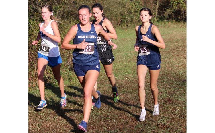 White County's cross country team got off to a fast start.  MARK TURNER/WCN