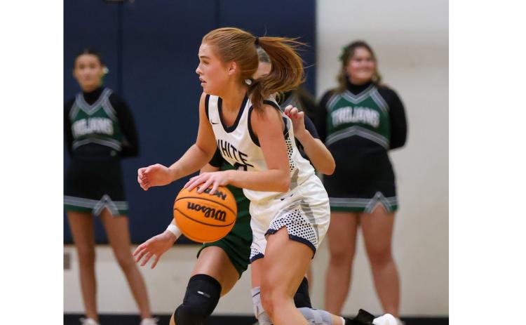 Ella Kate Shedd was named the Region 6-AAA Defensive Player of the Year. JENNIFER KNIGHT/SPECIAL