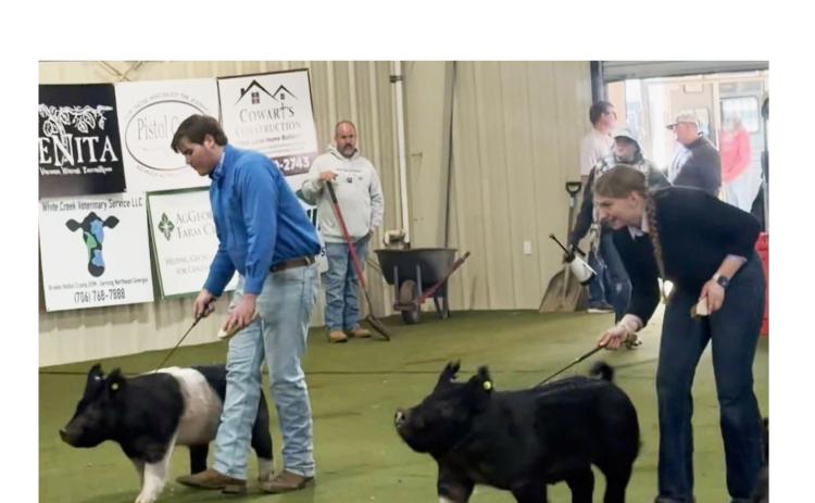 Elijah White and Cierra Bailey show their market hogs at the Agri-Science Center last Saturday. SUBMITTED PHOTO