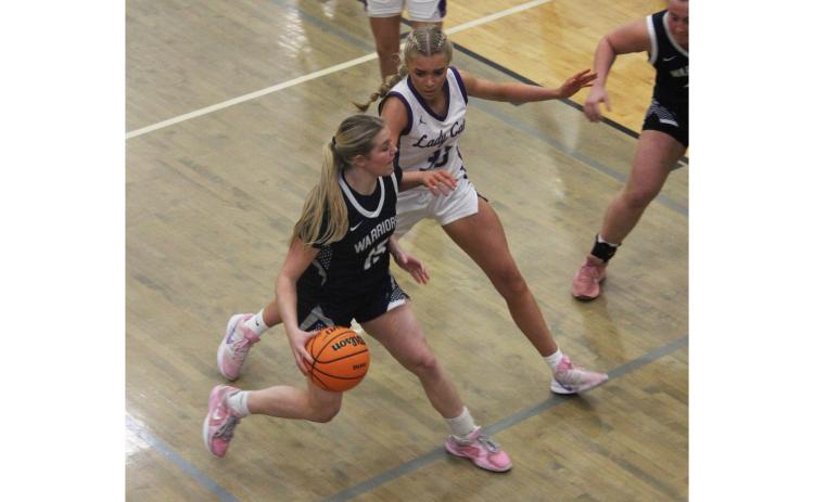 Matelyn Allison tries to drive past Gilmer's Jace Sanderson during the first round game Tuesday night in Ellijay. MARK TURNER/WCN