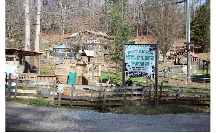 North Georgia Wildlife & Safari Park has been nominated for a national award. The park is located at 2912 Paradise Valley Road in Cleveland. CARLY HENDERSON/WCN