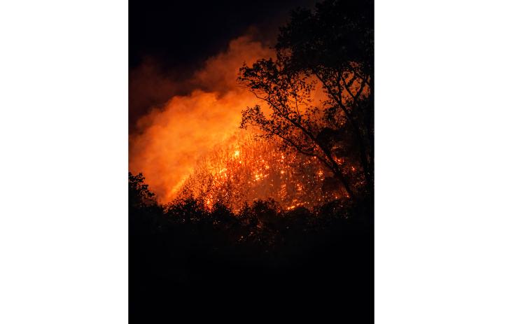 A fire spread across 26 acres of forest land on Buzzard Mountain Sunday night. SUBMITTED PHOTO