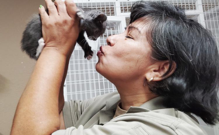 Animal Control Operations & Training Coordinator Astrid DeWeever shows a tiny kitten some love. PHOTOS BY DENISE ETHERIDGE/WCN