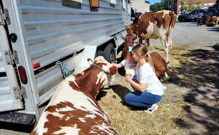 Landri Kastner, 3, pets a cow under her mother April Darby's watchful eye. The family attended Agri-Fest on Sept. 26 at Freedom Park in Cleveland. DENISE ETHERIDGE/WCN