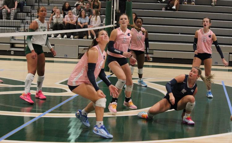 Liana Yeh looks for the ball during the region tournament last week at North Hall. MARK TURNER/WCN