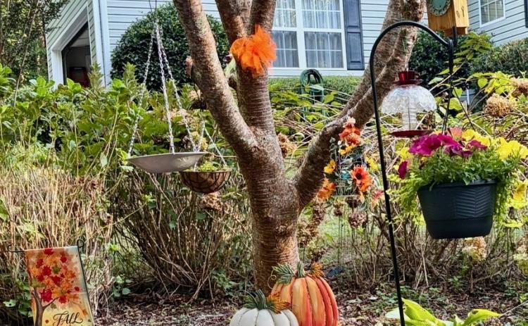 White County resident Thanna Chadwick took this photo of her “Autumn Tree,” the tree in her yard that she enjoys decorating for each season. Slice of Life photos run in black and white on page 4A of the print White County News, and in color on the newspaper’s website.